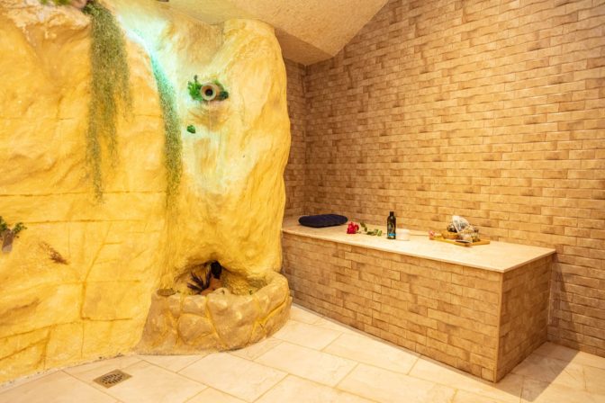 Looks reasonable The generate is Spa